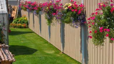 Photo of «Идеи для благоустройства приусадебного участка»