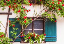 Photo of «Как создать комфортный летний дом на даче»