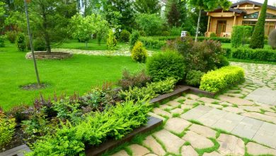 Photo of «Идеи для благоустройства территории на даче»